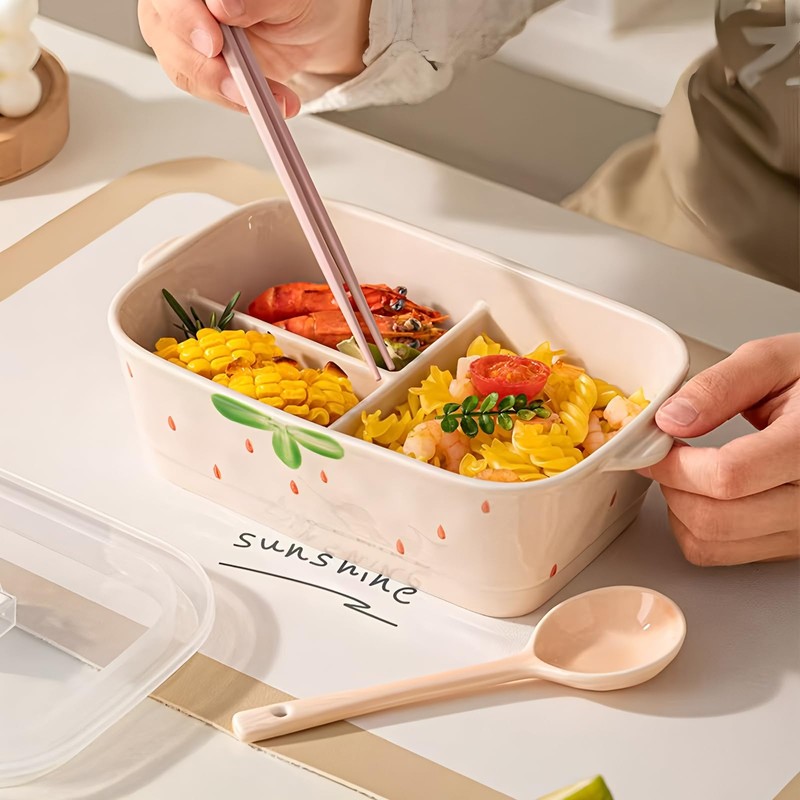 Ceramic Lunch Box, Divided and Covered Lunch Box with Good