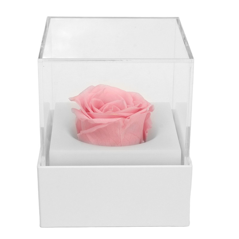 Rose Night Light Romantic Small USB Charging Soft Brightness Decoration