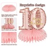 Turypaty 10th Birthday Honeycomb Centerpieces Decorations for Girls, Pink Rose