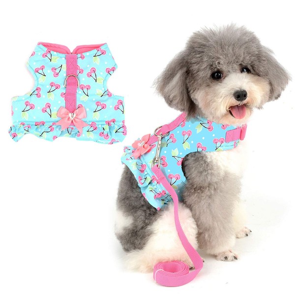 Zunea Small Dog Girl Harness and Lead Set No Pull