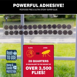 Catchmaster Window Fly Traps 12-Pack XL, Fruit Fly Traps for Indoors, Disposable Bulk Bug Catcher, Waterproof Insect Glue Trap, Adhesive Fly Strips, Pest Control for Home, Kitchen, & Garage