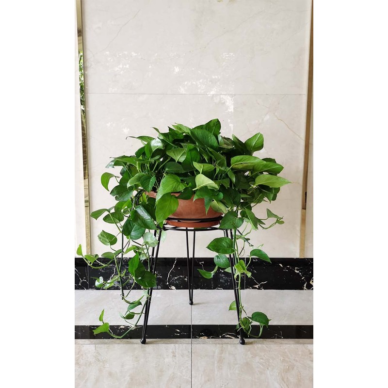 iLTreFlo Midcentury Modern Metal Potted Plant Stand 18.7 inches Tall