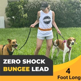 Barkswell Hands Free Dog Lead for 2 Dogs - Running Lead for Two Dogs/Dog Walking Belt for Multiple Dogs