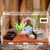 LIUZONGIN 2 Pack Mini Swing Hermit Crab Climbing Toy Terrarium