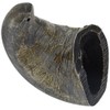 QT Dog Small Water Buffalo Horn - Long-Lasting 100% All-Natural