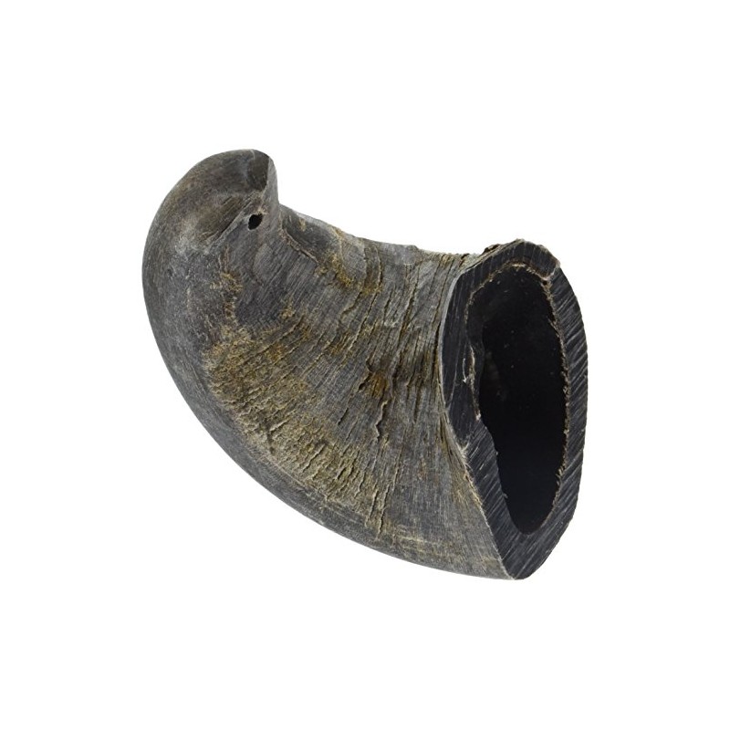 QT Dog Small Water Buffalo Horn - Long-Lasting 100% All-Natural