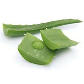 Organic Aloe Vera Leaf Capsules 500 Mg (Aloe Barbadensis)
