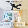 POCHFAN 42 Inch Black Ceiling Fans with Lights and Remote,