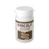 EVOCOLIT - Dietary Supplement for Digestive Functions, for Regular Intestinal
