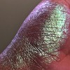 IS'MINE Glitter Liquid Eyeshadow, Chameleon Metallic Multi-Dimensional Holographic Highly Pigmented