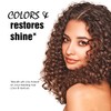 Light Mountain Natural Bulk Hair Color and Conditioner, Medium Brown,