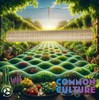 Common Culture Bio Trellis Netting Bulk Roll | 5 ft