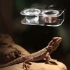 POPETPOP Reptile Feeder with 10 Plastic Bowls for Reptile Feeder