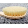 Japanese Body Brush for Bath or Dry Brushing, Exfoliation, Cellulite