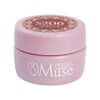 PREANFA PREGEL Muse Color Gel Terracotta 206, 0.1 oz (3