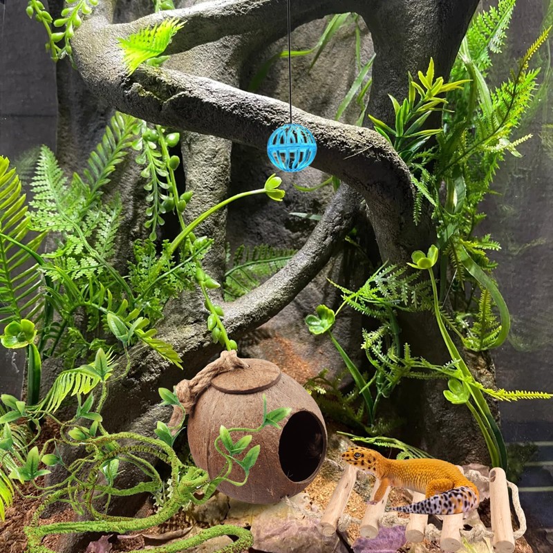 RUNANIA Crested Gecko Tank Accessories，Reptile Vines Plants with Coconut Shell