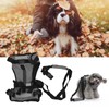 Cat Vest Harnesses Leash Adjustable Breathable Stylish Multifunctional Pet Walking