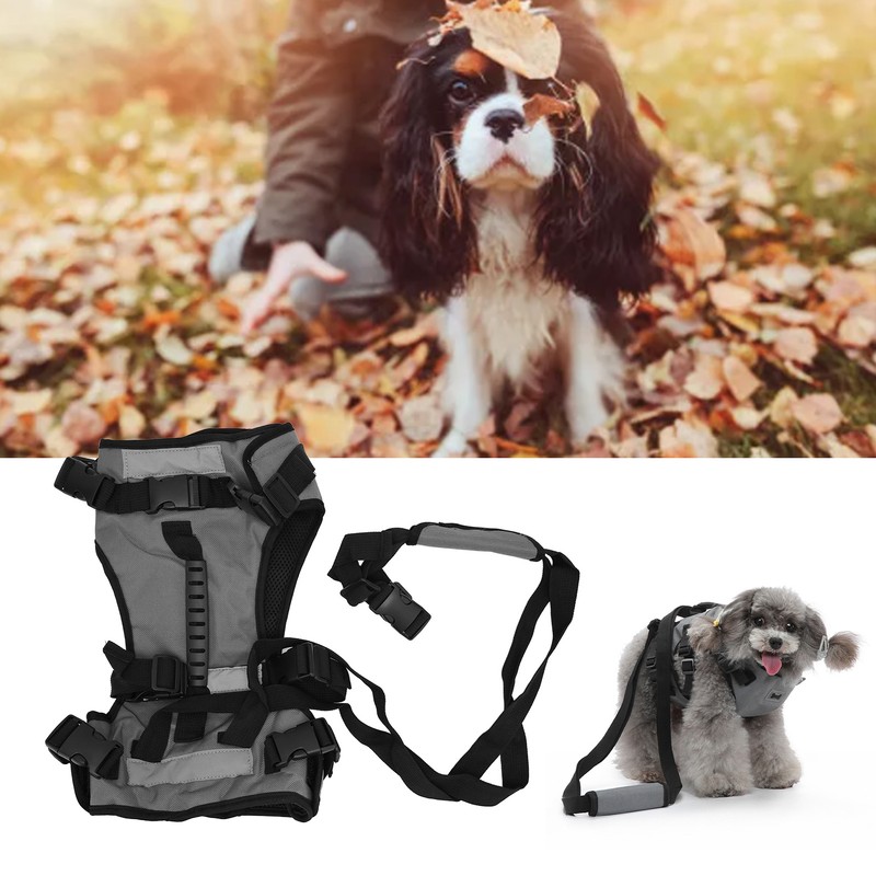 Cat Vest Harnesses Leash Adjustable Breathable Stylish Multifunctional Pet Walking