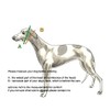 SightHound Gang Extra Soft Martingale Dog Collar for Greyhound Saluki