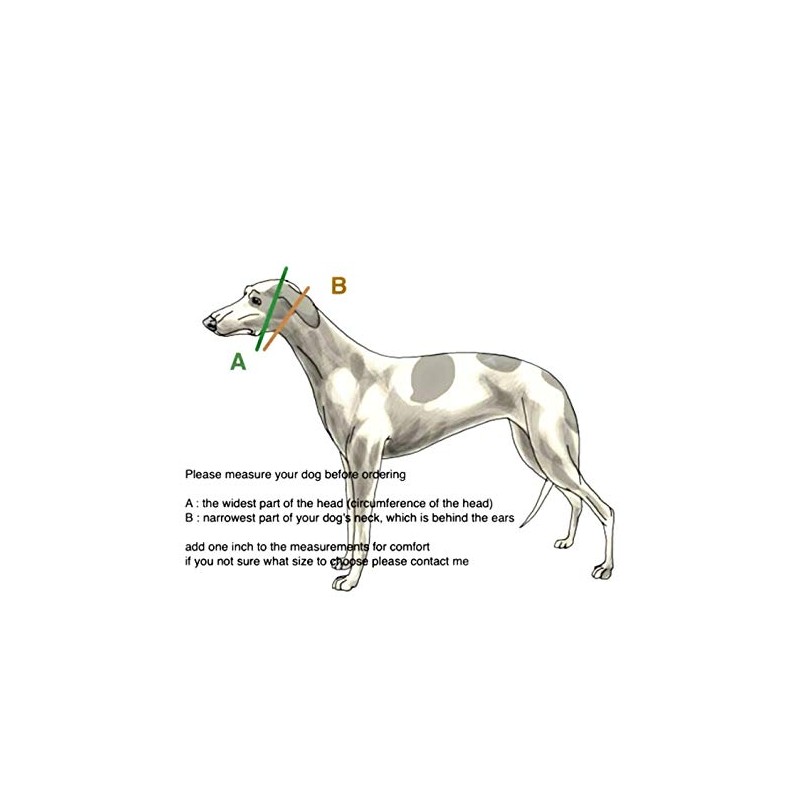 SightHound Gang Extra Soft Martingale Dog Collar for Greyhound Saluki