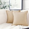 LIGICKY Set of 2 Linen Throw Pillow Covers 18x18 Inch