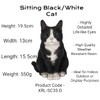 Vivid Arts Sitting Cats (Black/White Cat)