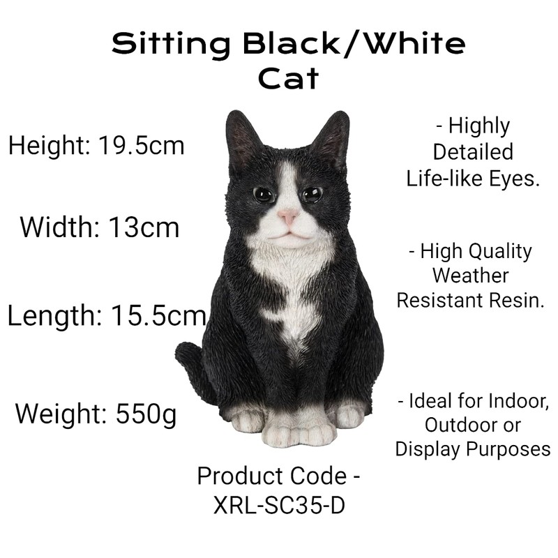 Vivid Arts Sitting Cats (Black/White Cat)