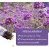 GREENSLEEVES Verbena Essential Oil – 10ml Bottle of 100% Pure