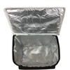 SERVICES Flexible Portable Fridge 8L Cool Bag Thermal Bag Camping