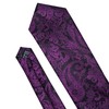 Barry.Wang Men's Silk Paisley Ties with Handkerchief Cufflink Tie Set