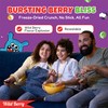 The Freeze Dried Candy Store Shell Shock Variety Pack 4
