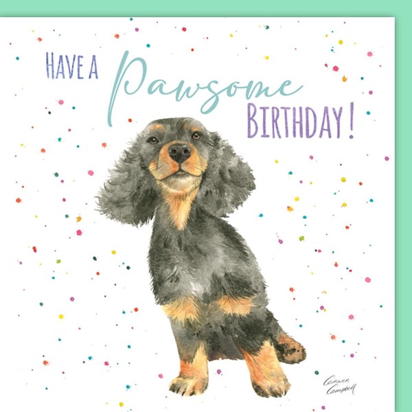 Dachshund Dog Birthday Card -Have a Pawsome Birthday! Fun Quality