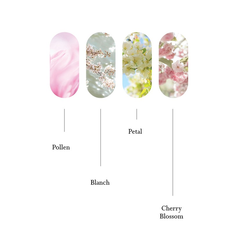 Divock Divok Cherry Blossom Syrup Glitter Magnet Gel + 30