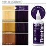 Kiss Tintation Semi-Permanent Hair Color 5 Ounce, T740 Rose Gold