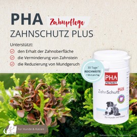 pha Powder for Dogs and Cats; remove plaque and tartar, Dental Protection Plus, 60 g