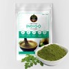Terra ORGANICS Heena & INDIGO POWDER -100 Gm