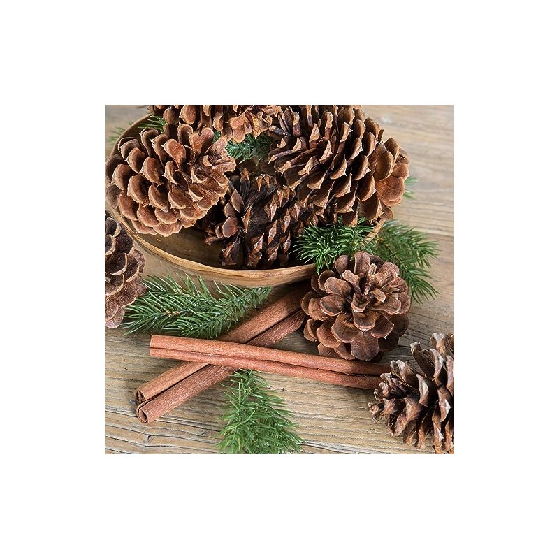 Cinnamon Scented Pinecone Bag (2-Pack)