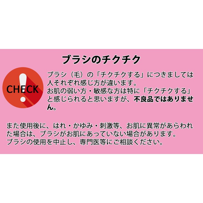 Shishida Seishindo PA-01 Cosmetic Brush, Brush School Face Brush