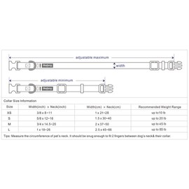 Blueberry Pet Essentials 21 Colors Classic Dog Collar, Black, Small, Neck 12"-16", Collars for Dogs
