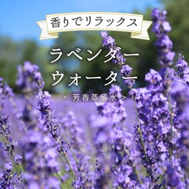 Natural Cosmetics Laboratory Lavender Water, Lavender Water, Floral Water, 3.4 fl oz (100 ml)