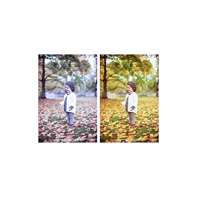 Vello Universal White Balance Handheld Disc