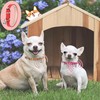 XXS Dog Collar for Teacup Adjustable Teacup Dog Collar for