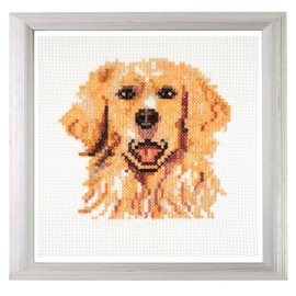 Trimits Mini Counted Cross Stitch Kits, 13 x 13cm (5 x 5in), Golden Retriever