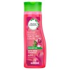 Herbal Essences Ignite My Color Vibrant Color Shampoo with Rose