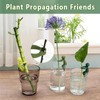 ChengJin 3PCS Plant Propagation Friends,Cute Plant Propagation Buddy,Aquatic Plant Support,Funny