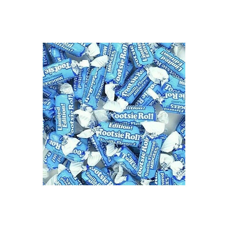 Tootsie Roll VANILLA Fruit Chews BULK CANDY- ONE POUND Chewy