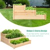 S AFSTAR 3-Tier Raised Garden Bed, Wood Elevated Planter Box