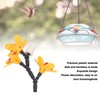 DIY Hummingbird Feeder Bottle Recycling Safe Harmless Bird Feeding Flower