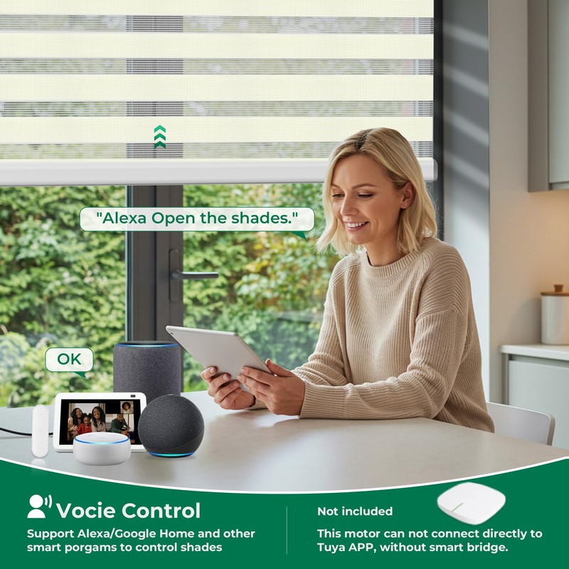 Allesin Motorized Blinds No Drill Automatic Zebra Shades with Remote