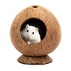 Yeqqzq Coconut Hut Hamster House Bed, Coconut Shell House for